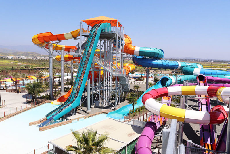 tortuga-img03-800x534