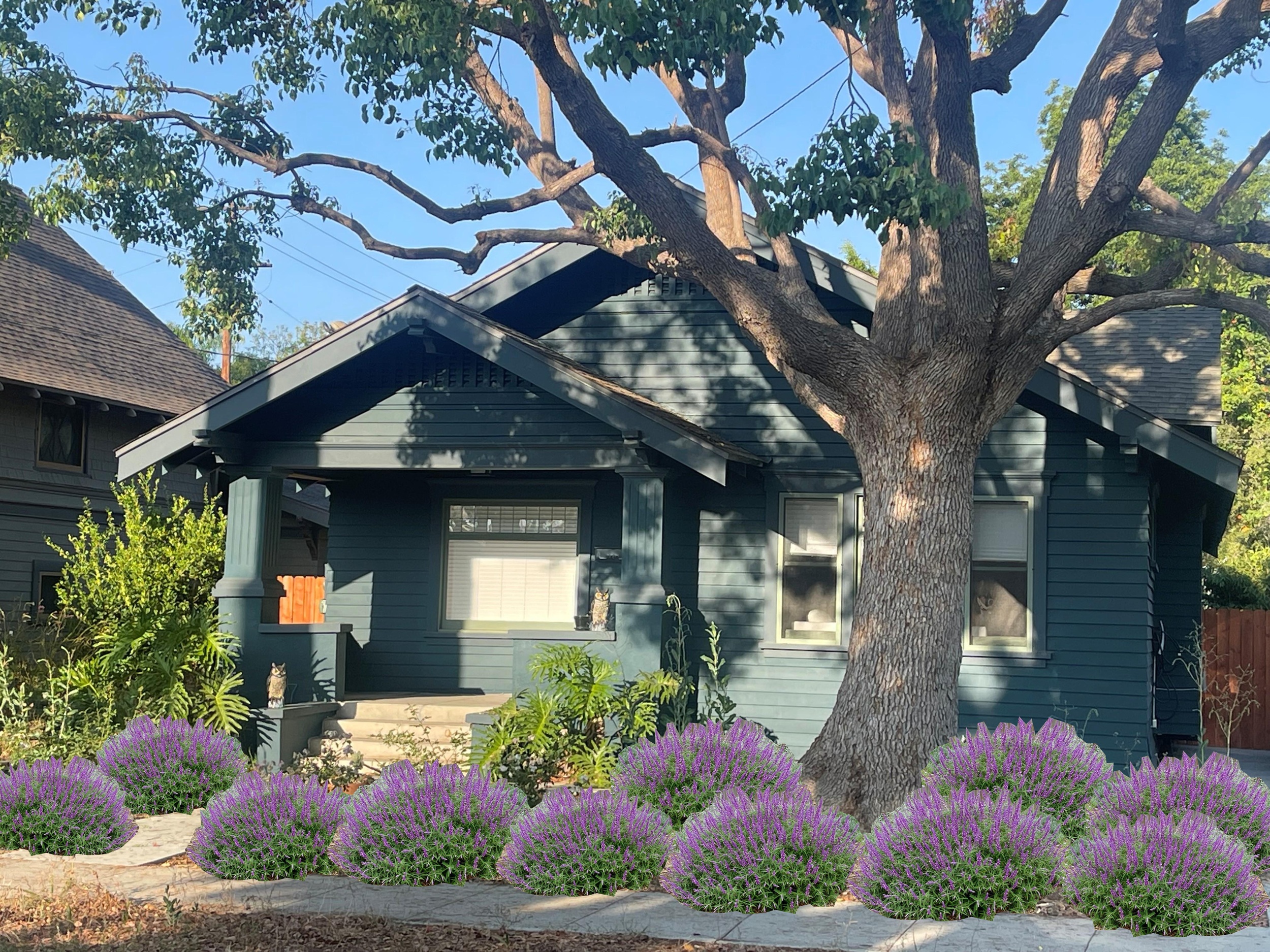 HISTORIC RESIDENCE – ORANGE, CALIFORNIA