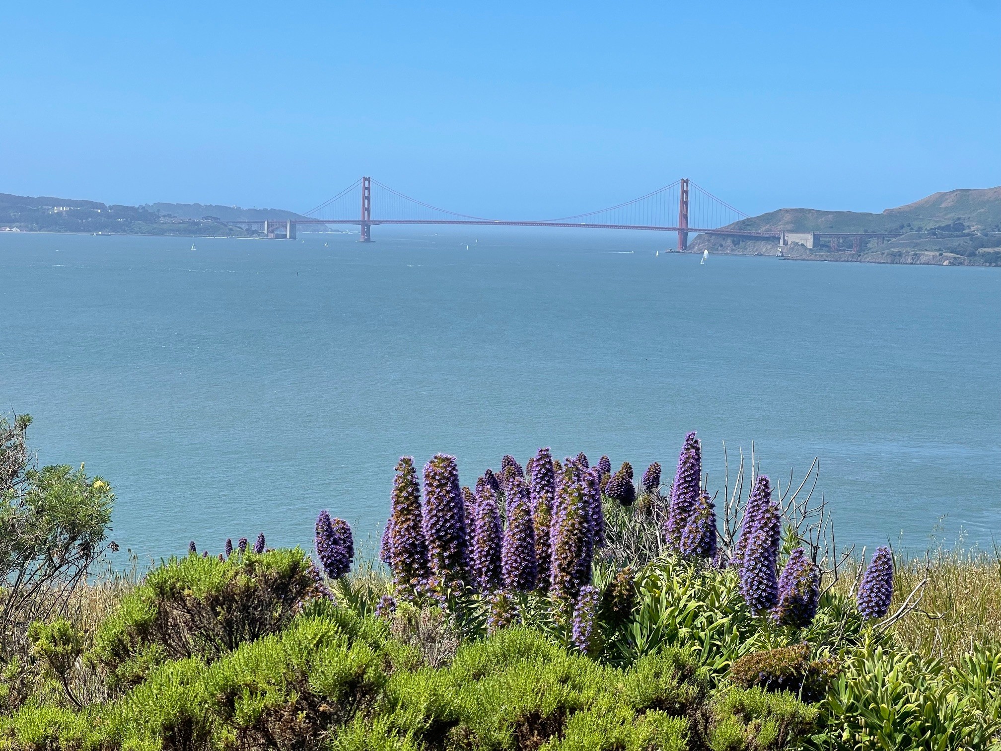 GOLDEN GATE BRIDGE-01