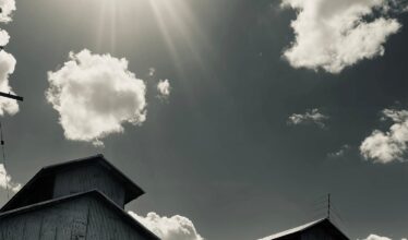 LIGHT AND SHADOWS – 2025