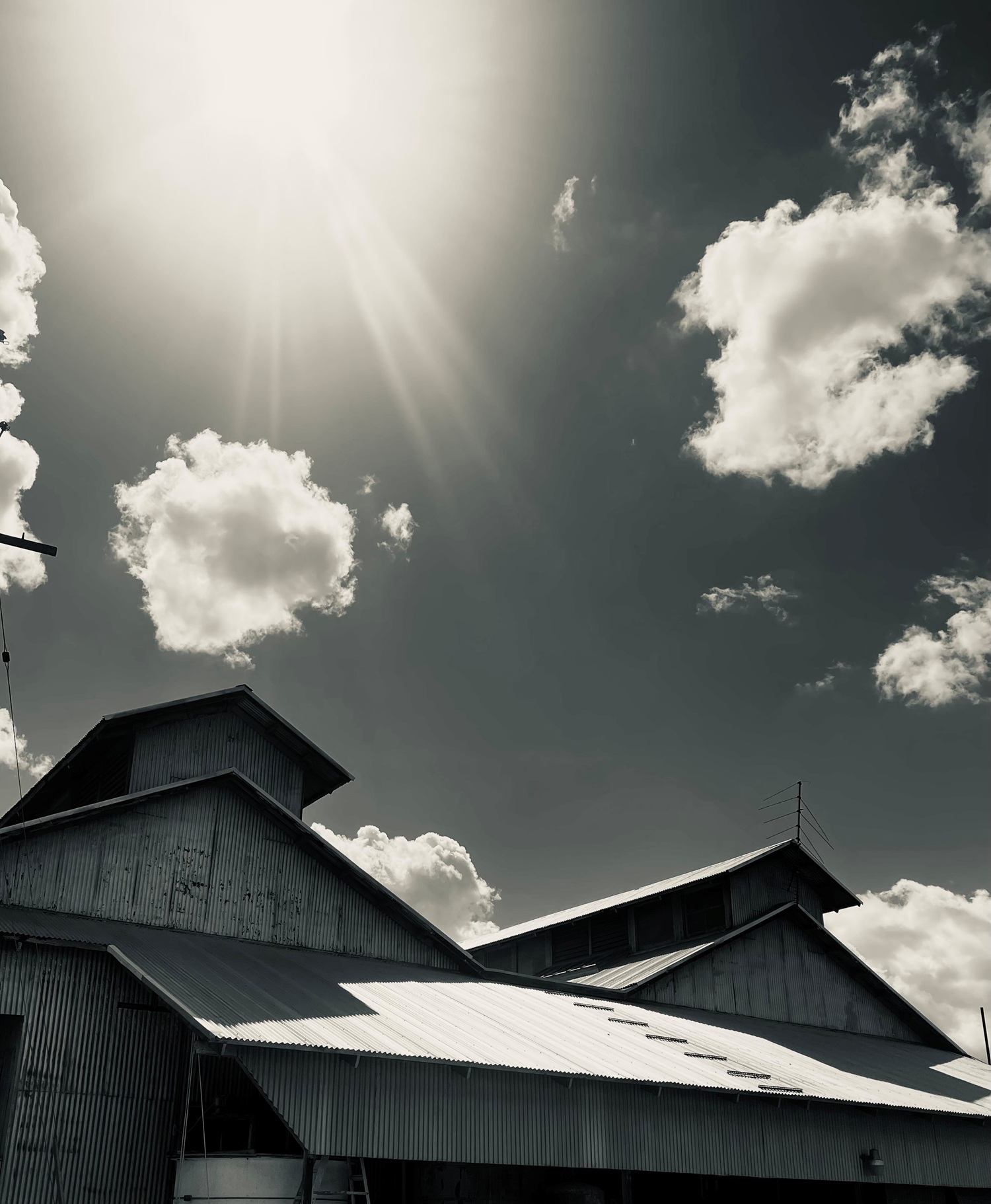 LIGHT AND SHADOWS – 2025